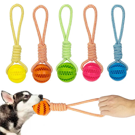 Dog Toy Treat Balls